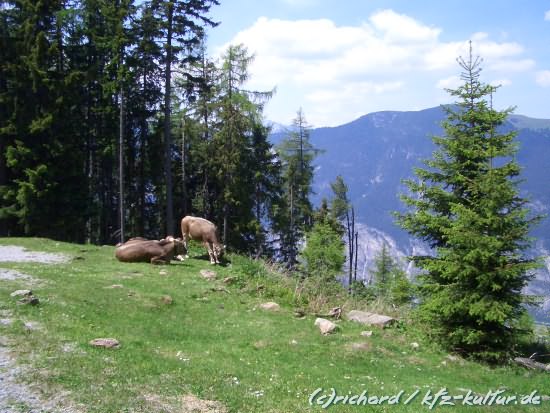 bavaria_tour_2006_668