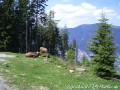 bavaria_tour_2006_668