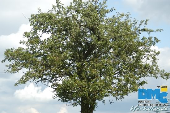 dueren_dmc_050606_947