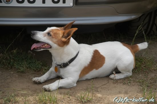 Oldtimer_Festival_250606_0921