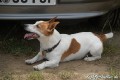 Oldtimer_Festival_250606_0921