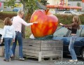 BMW_Herbstjagd_06_2319
