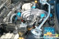 BMW_TREFFEN_100906_0362