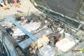 BMW_TREFFEN_100906_0670