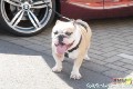 BMW_TREFFEN_100906_0830