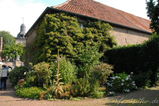Graf_trips_loersfeld_1379.JPG