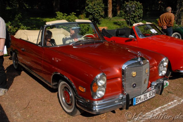 Graf_trips_loersfeld_1485.JPG
