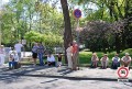 OLDTIMER_DEMO_2477